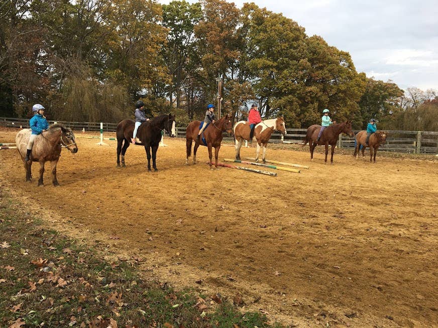 Lesson Barn Riding Levels How to Teach Confident Riding With the Use of Your Lesson Horses ...