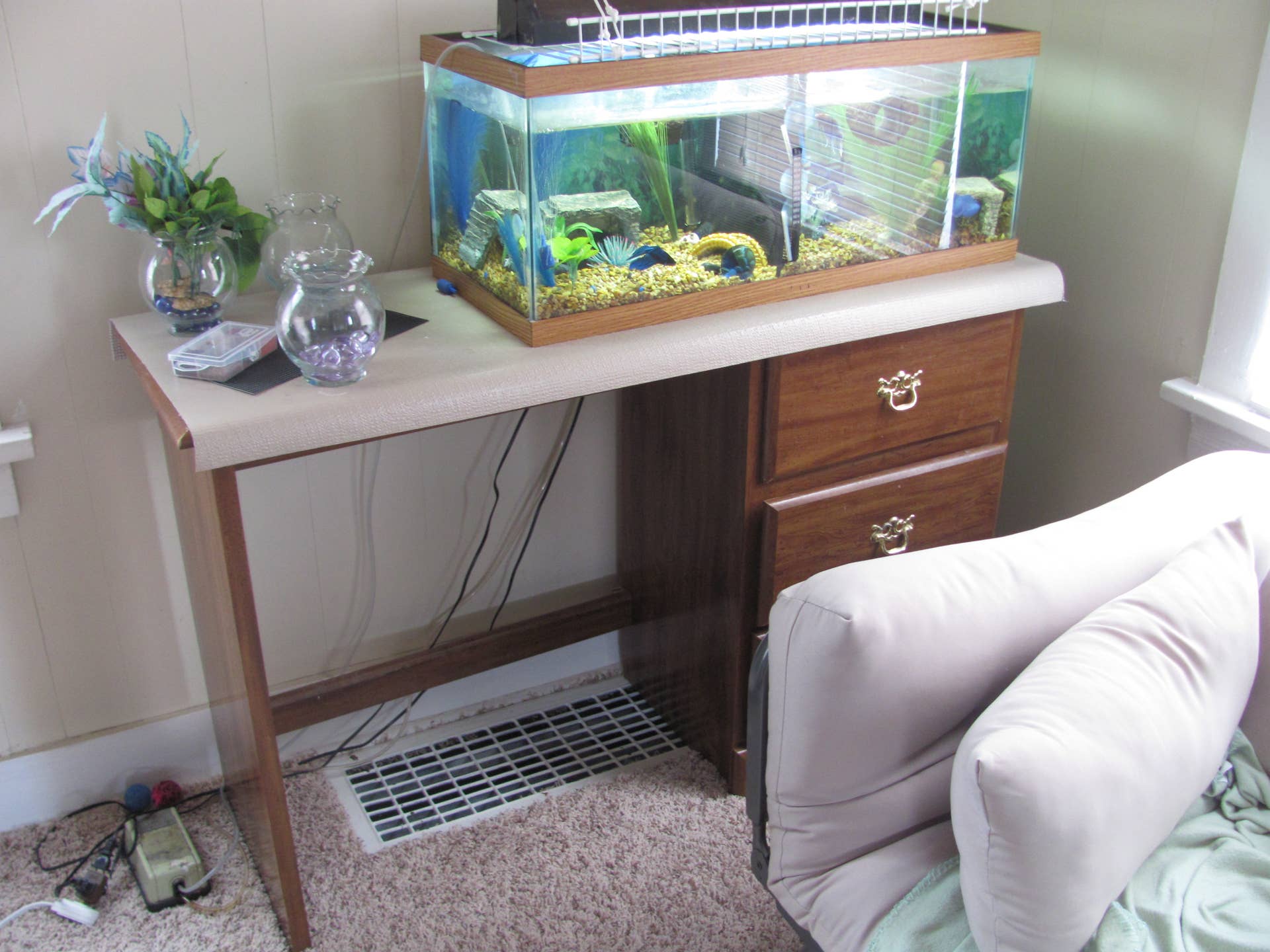 Cheap Alternatives for an Aquarium Setup - PetHelpful