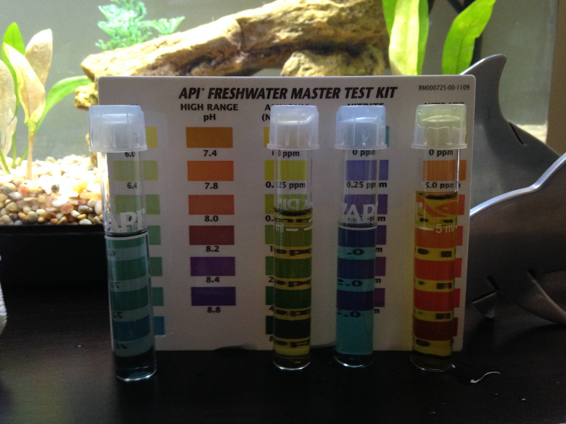 Setting up a Freshwater Aquarium: A Guide for Beginners - PetHelpful