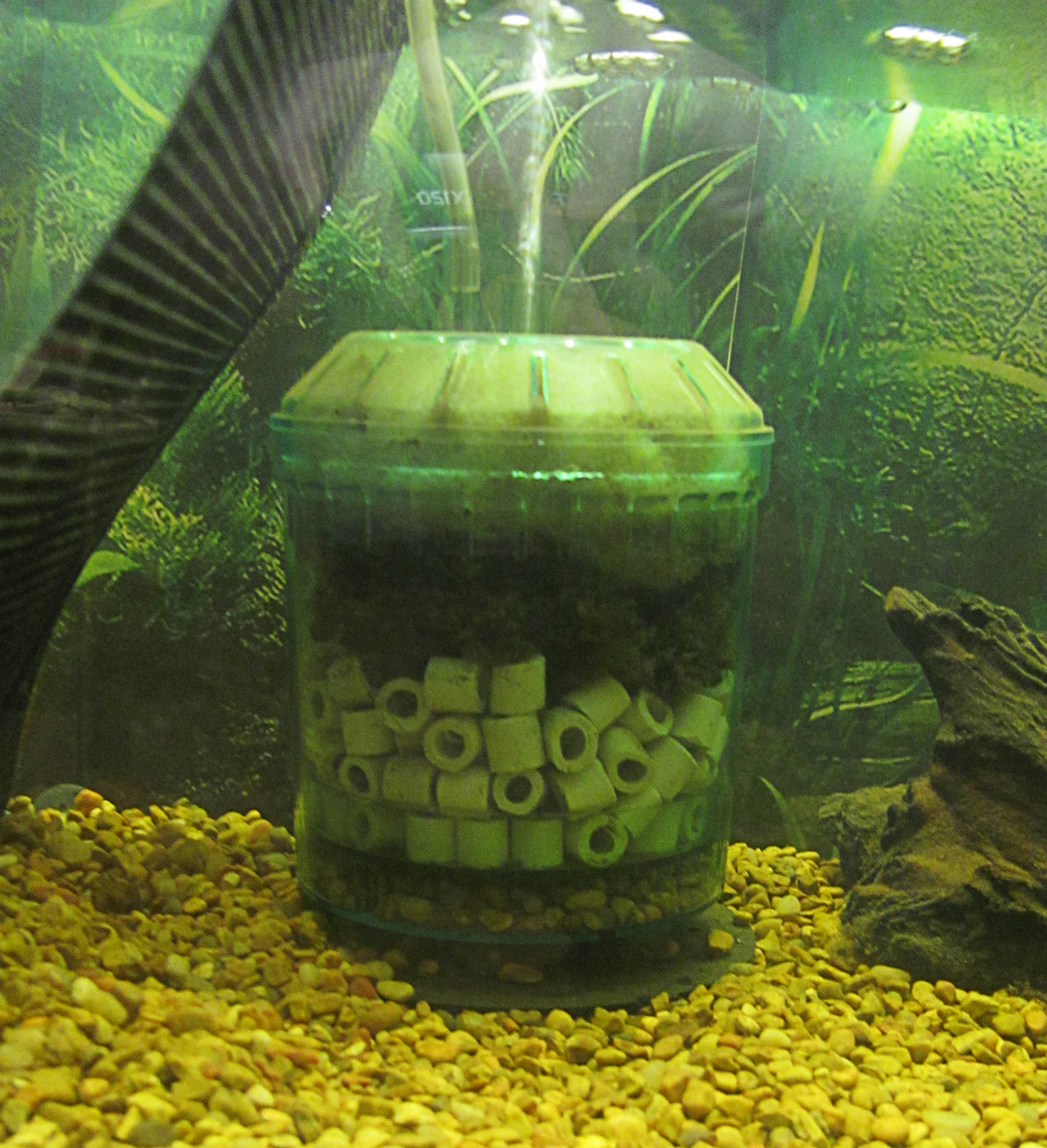 box filters for fish tanks What Happened to the Box/Corner Filter for Fish Tanks?