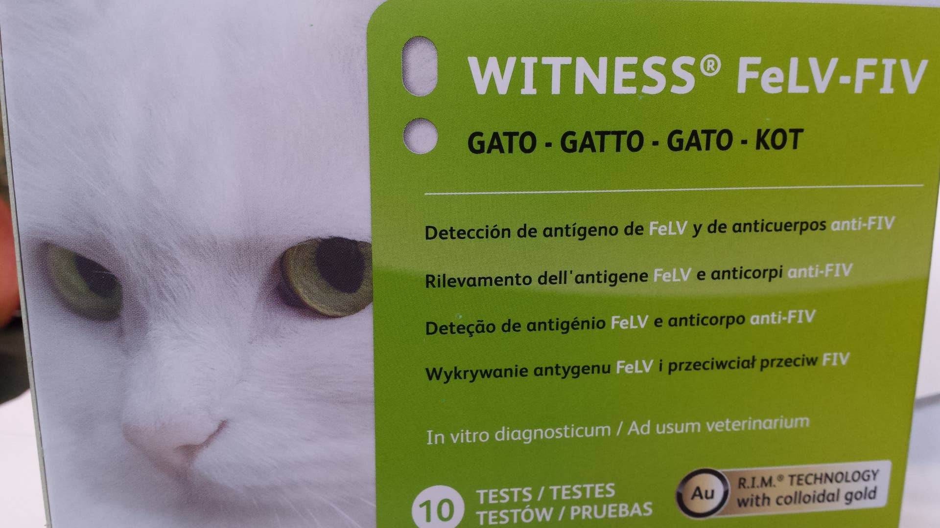 Feline Immunodeficiency Virus (FIV): Symptoms, Prevention, and More ...