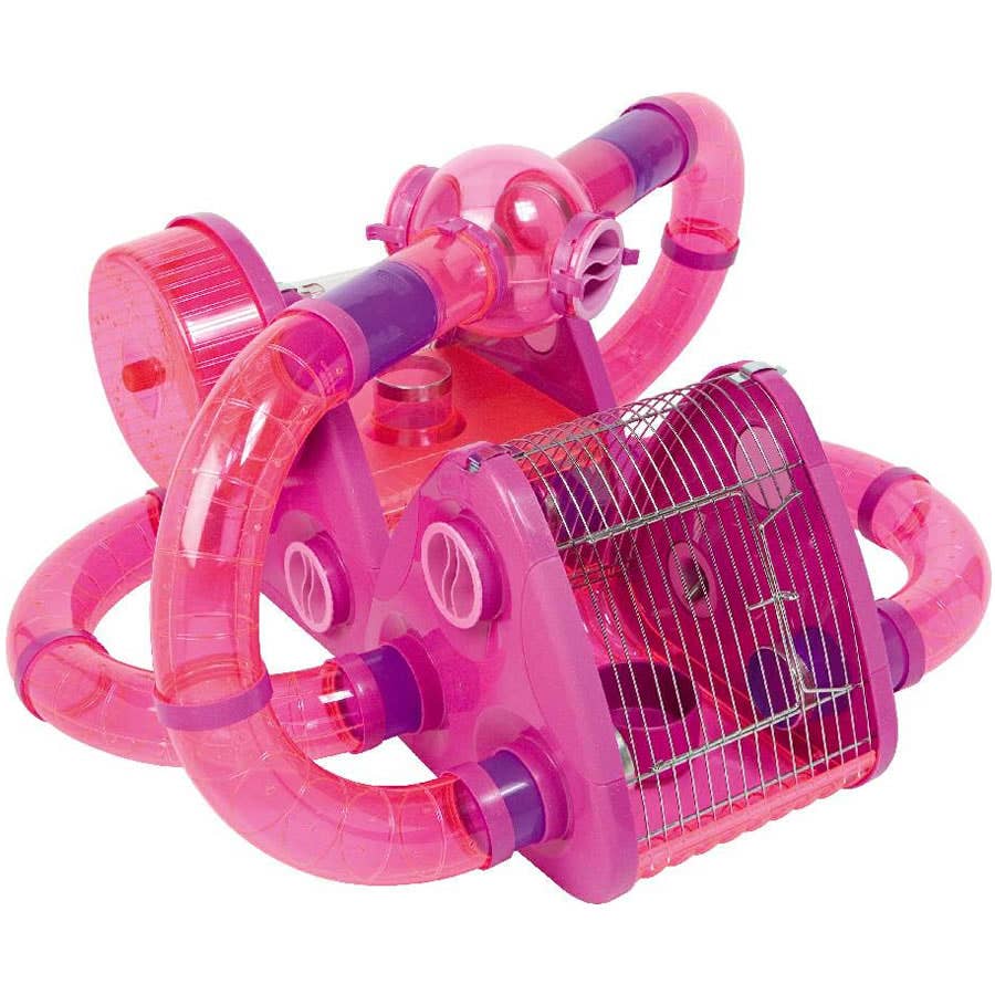 Cage Rage in Hamsters: The Complete Guide - PetHelpful