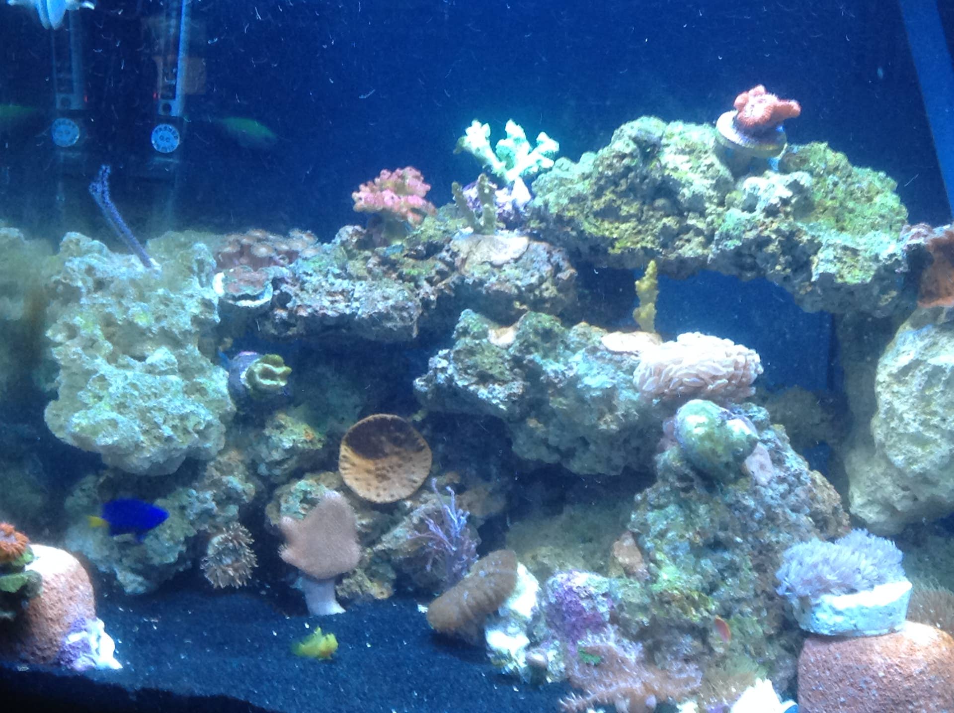 How Do Eco-Bio Blocks Improve Aquarium Water Quality? - PetHelpful