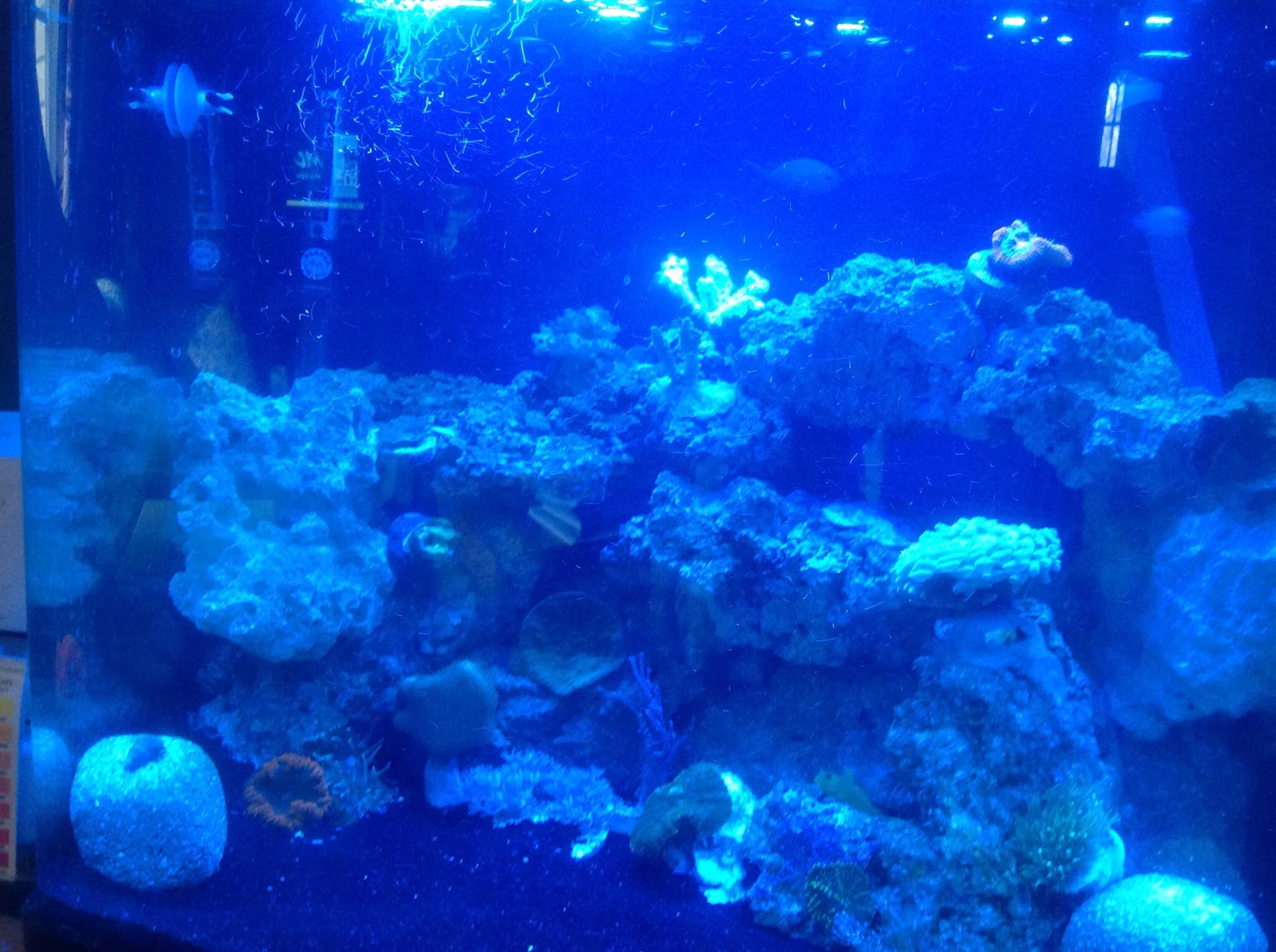 How Do Eco-Bio Blocks Improve Aquarium Water Quality? - PetHelpful
