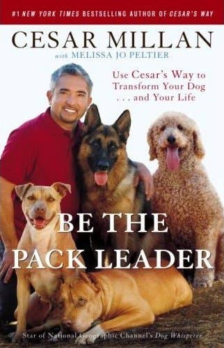 Cesar Millan's Positive Dog Training Techniques - PetHelpful