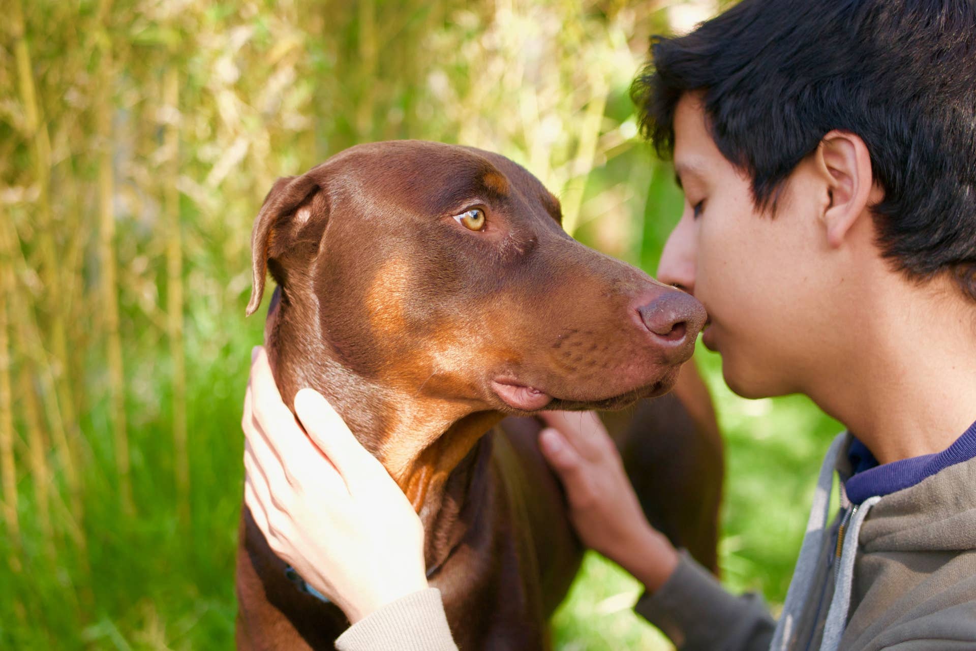 Unexpected Ways Your Dog Shows You Affection (and How to Show It Back ...