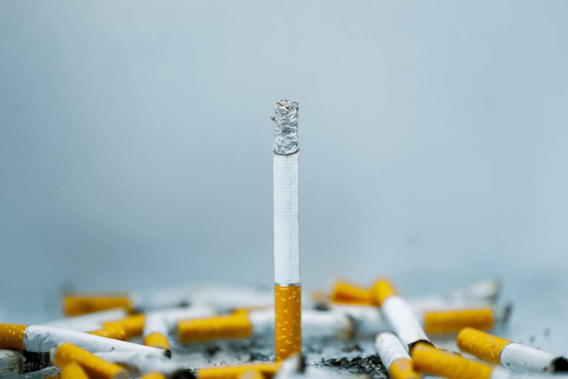 weed and tobacco reddit Does cannabis affect your fertility?