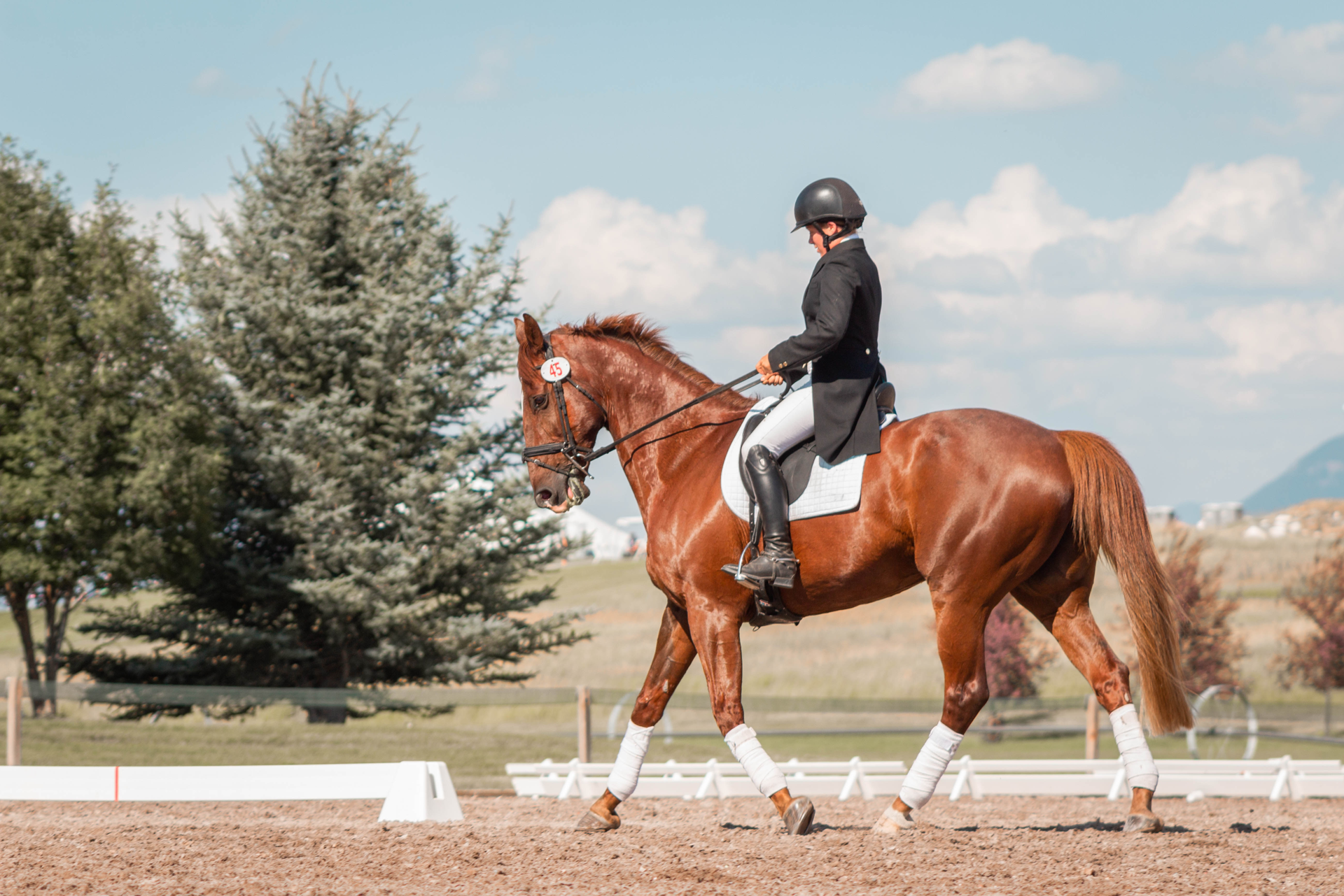 A Beginner's Guide to Riding Helmets - PetHelpful