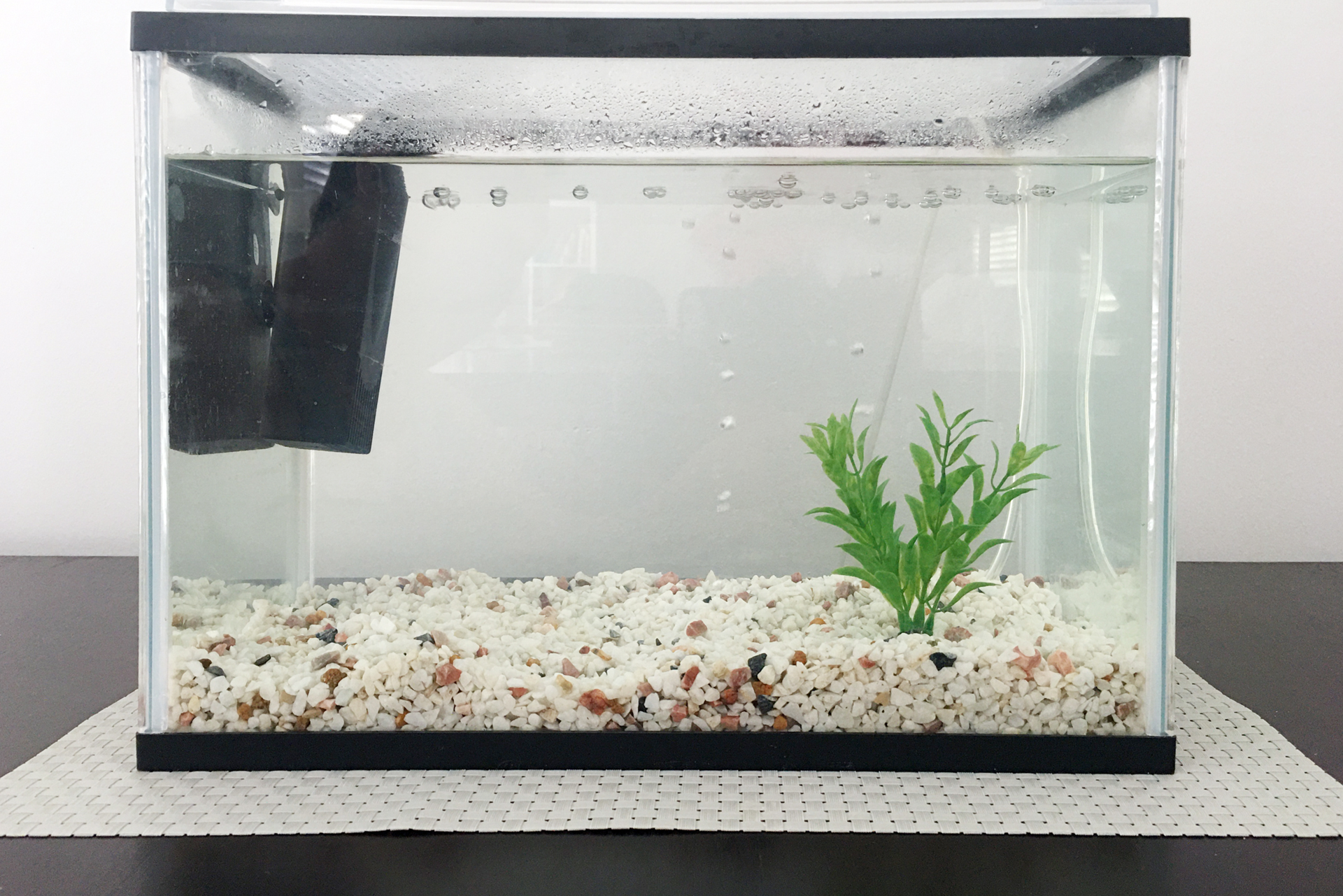 How to Safely Replace Aquarium Gravel - PetHelpful