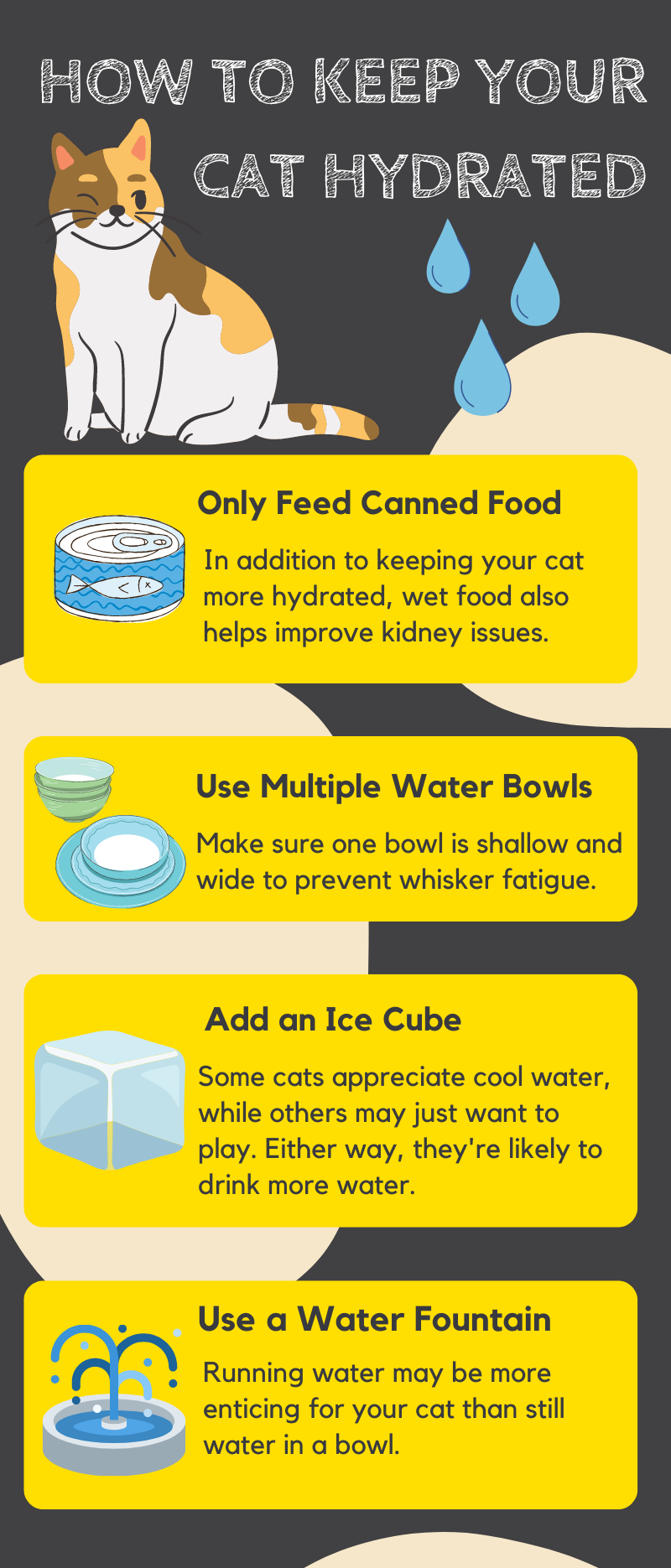 Curated visual reference: Cat Utis Prevention Diet Reference: Male Cat Uti Symptoms And Treatment Plus Preventive Tips