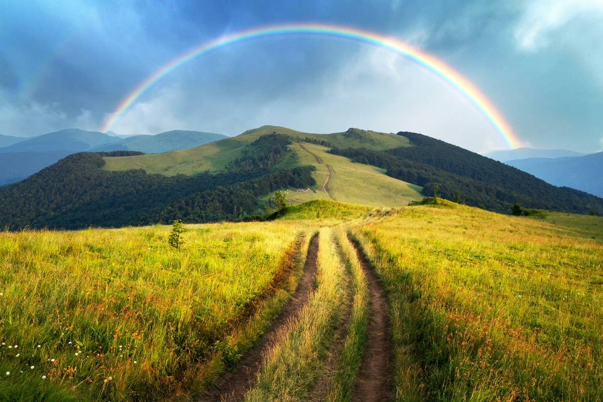 what-is-rainbow-bridge-remembrance-day-sweet-ways-to-honor-your-late
