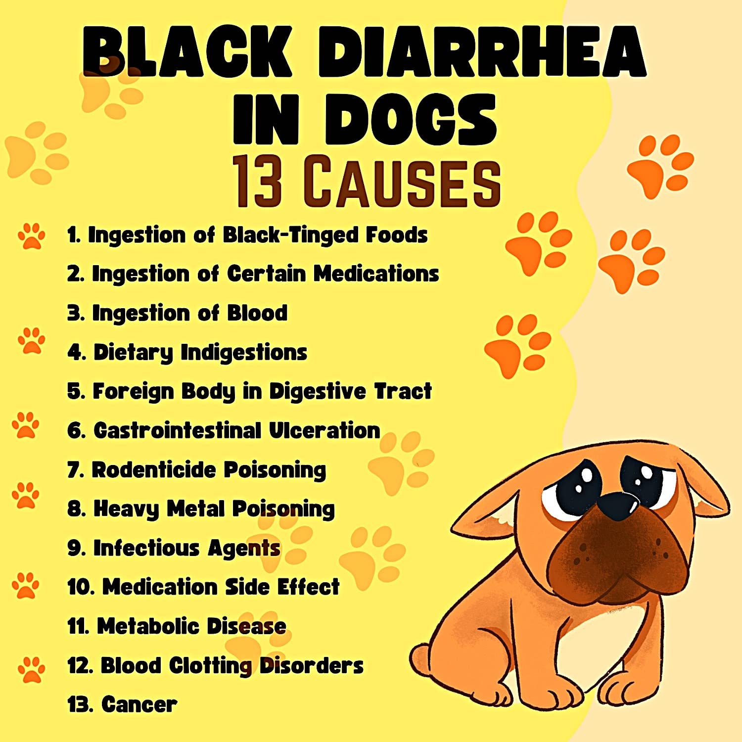 vitamin b12 injections cause black stool 13 Causes of Diarrhea in Dogs BAC Water 10ml | Size:100x2 ml magnesium citrate