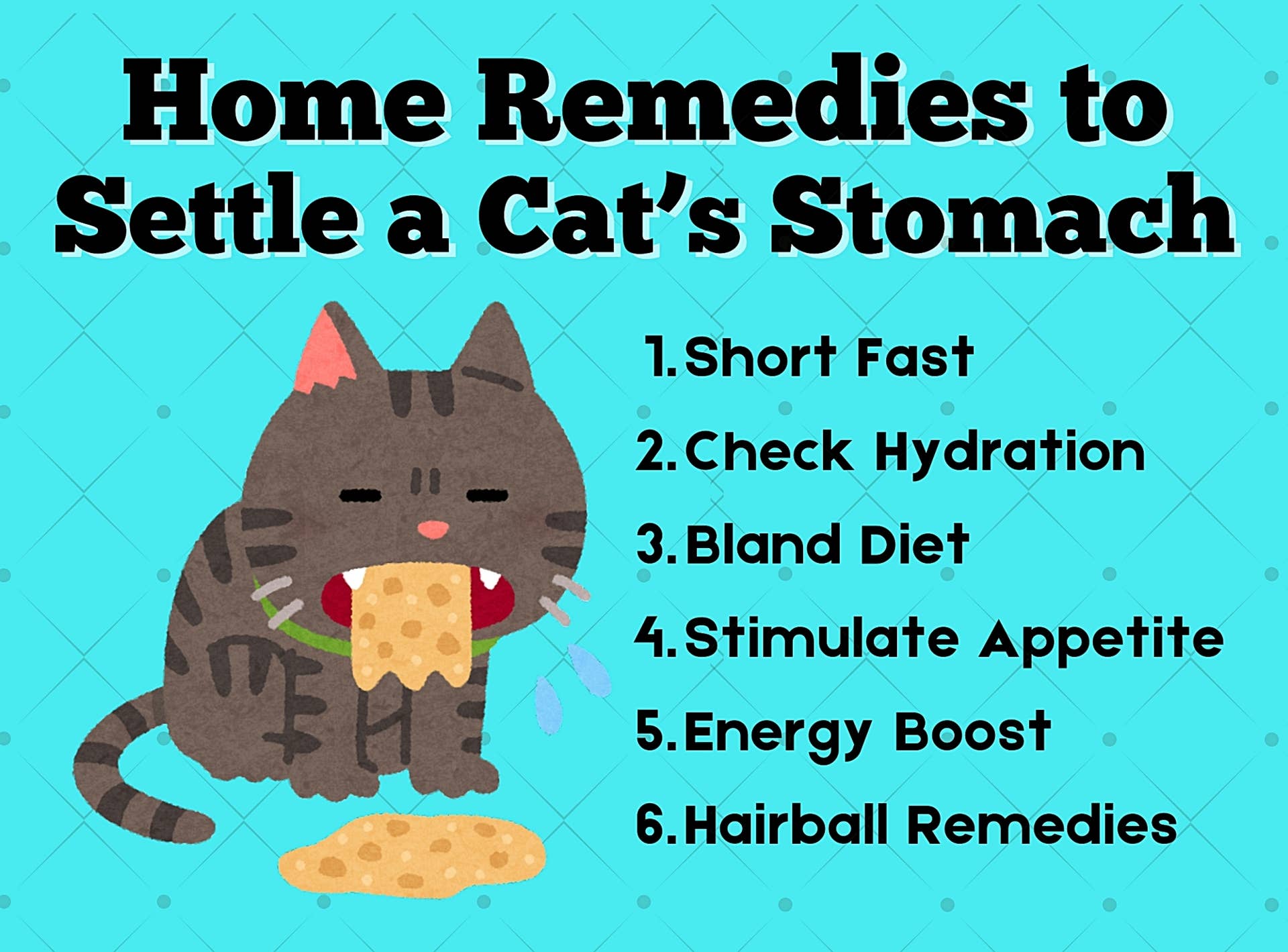 How To Settle A Cat's Stomach