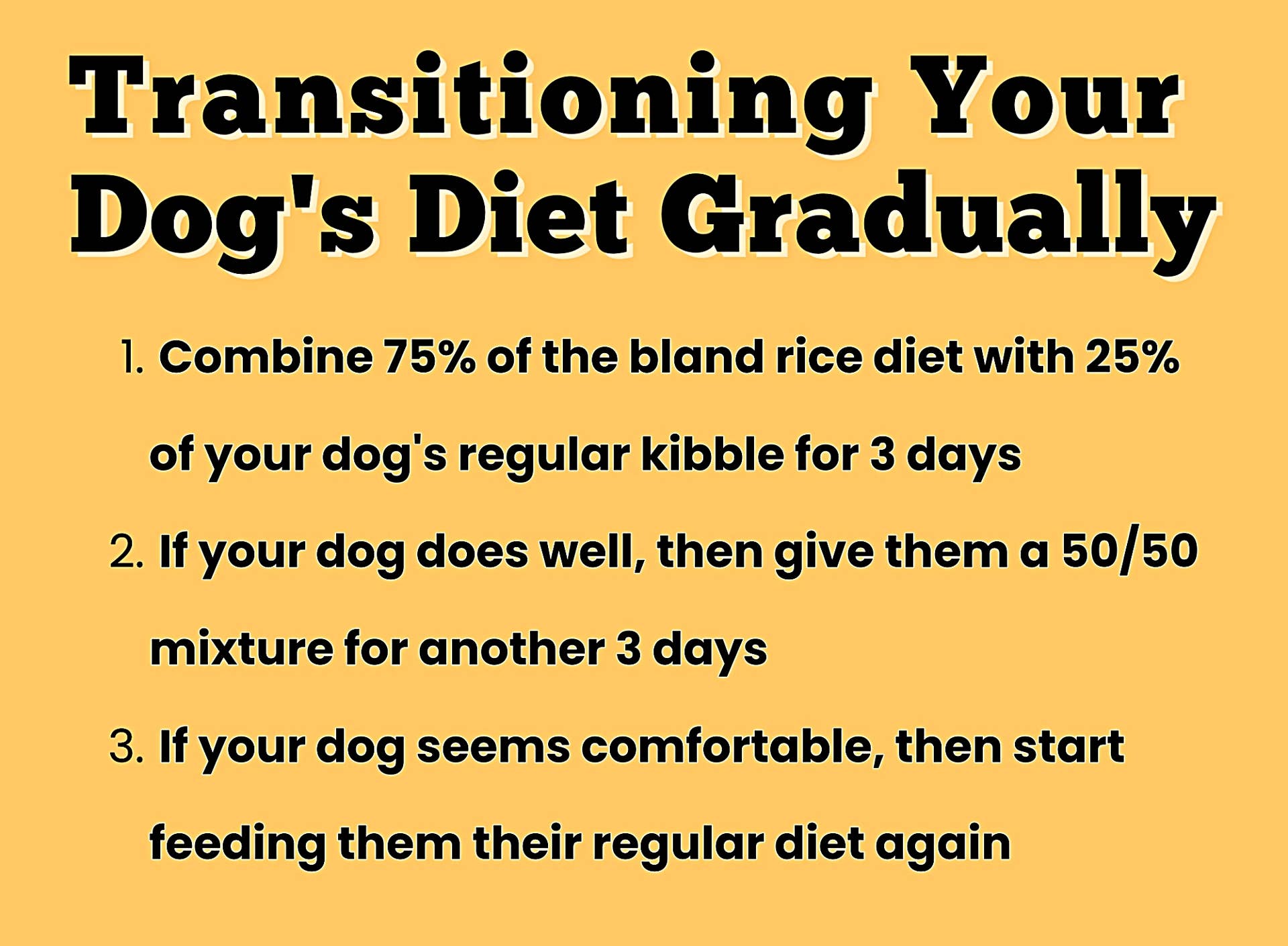 bland food what do you feed a sick dog