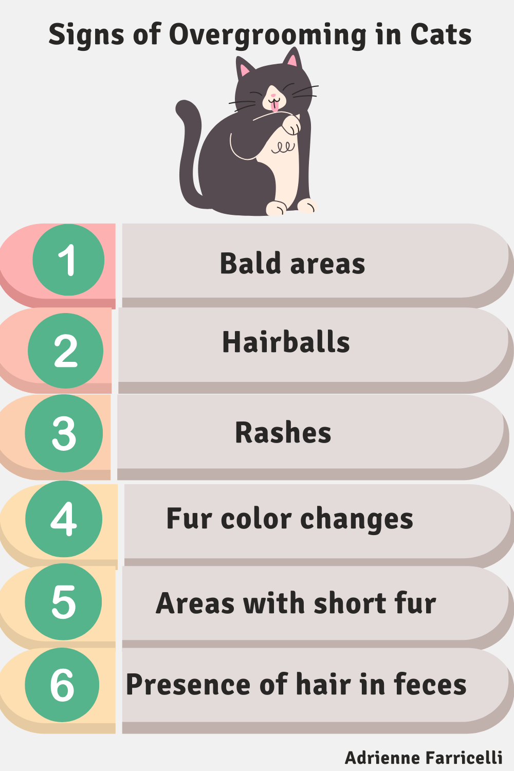 Infographic: Signs of Overgrooming in Cats