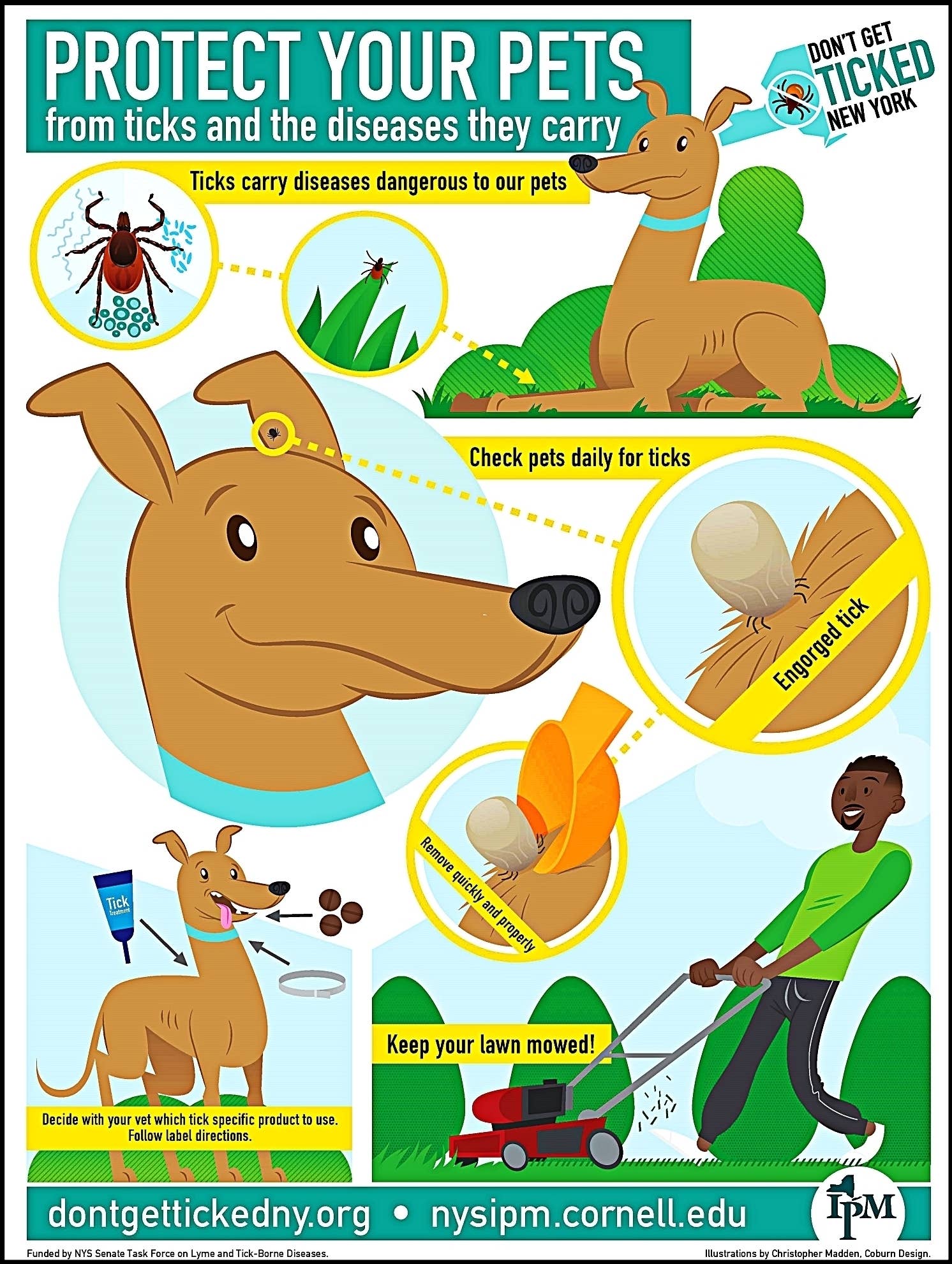 How to Remove an Embedded Tick From Your Dog