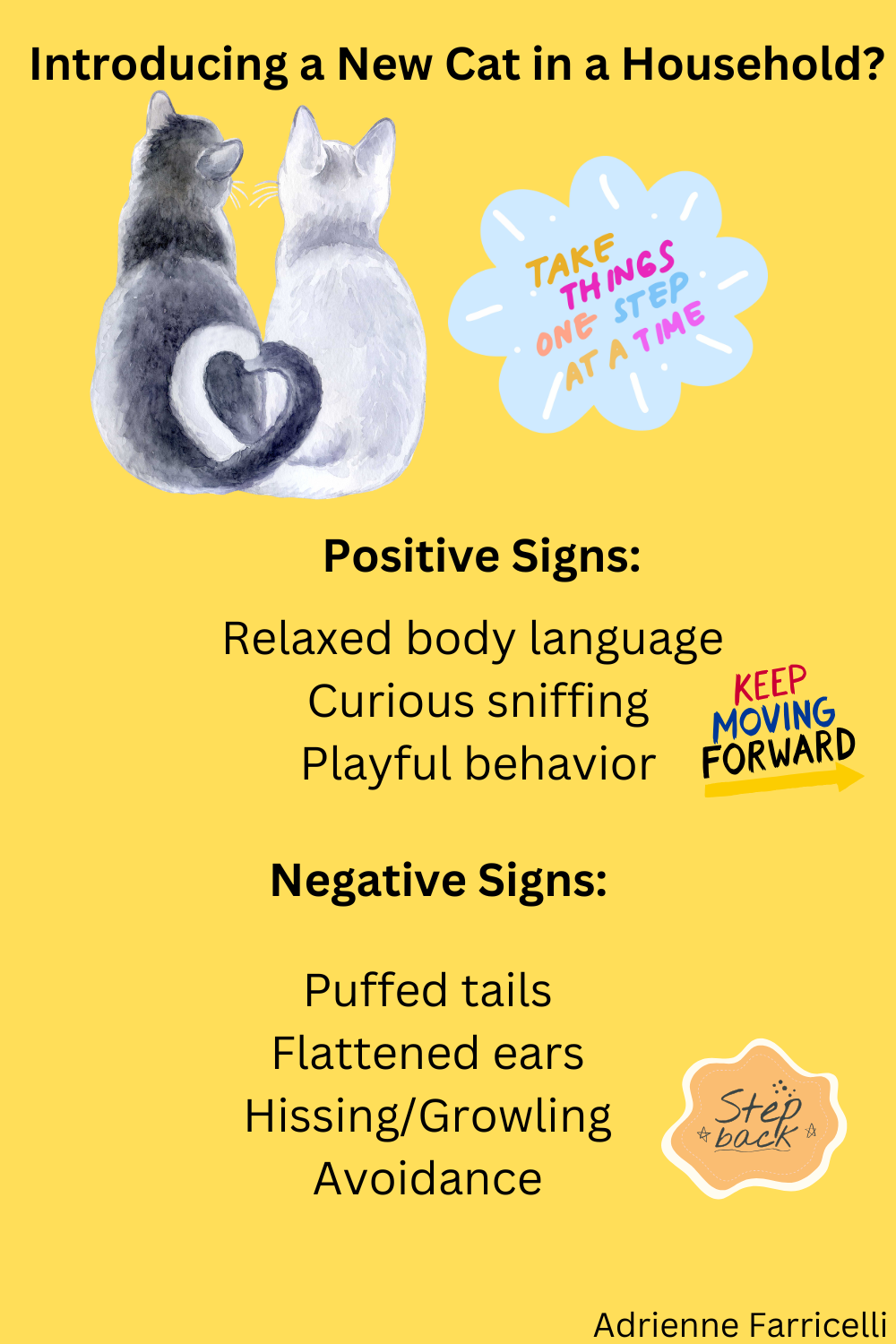 Cat Introduction Process How to Successfully Introduce Cats and Help Them Get Along - PetHelpful
