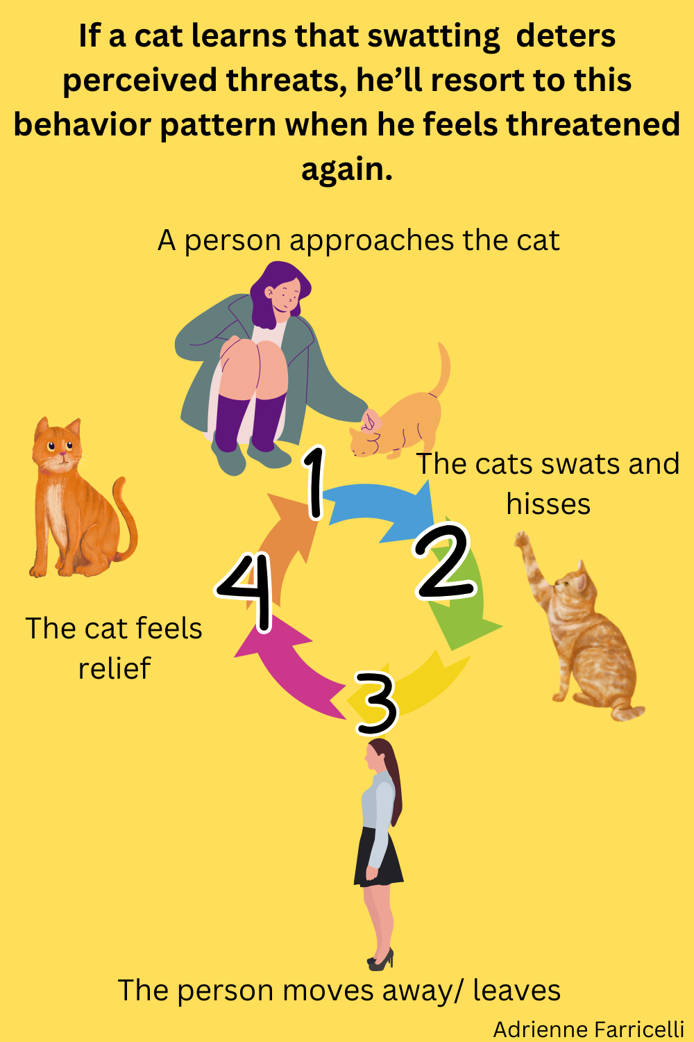 This Is Why Your Cat Swats at You Aggressively - PetHelpful