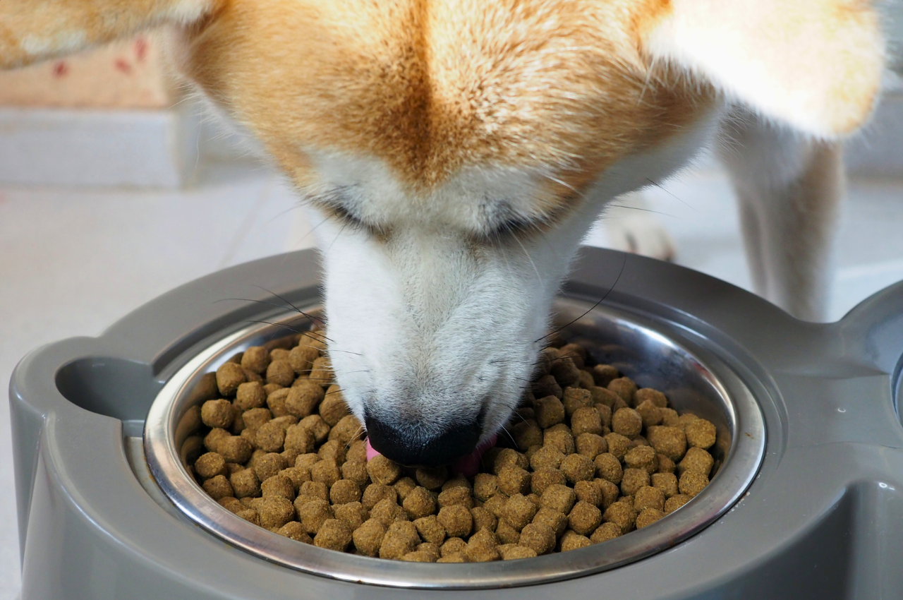 buy royal canin veterinary diet dog food Royal Canin Veterinary Diet Satiety Support Dry Dog Food
