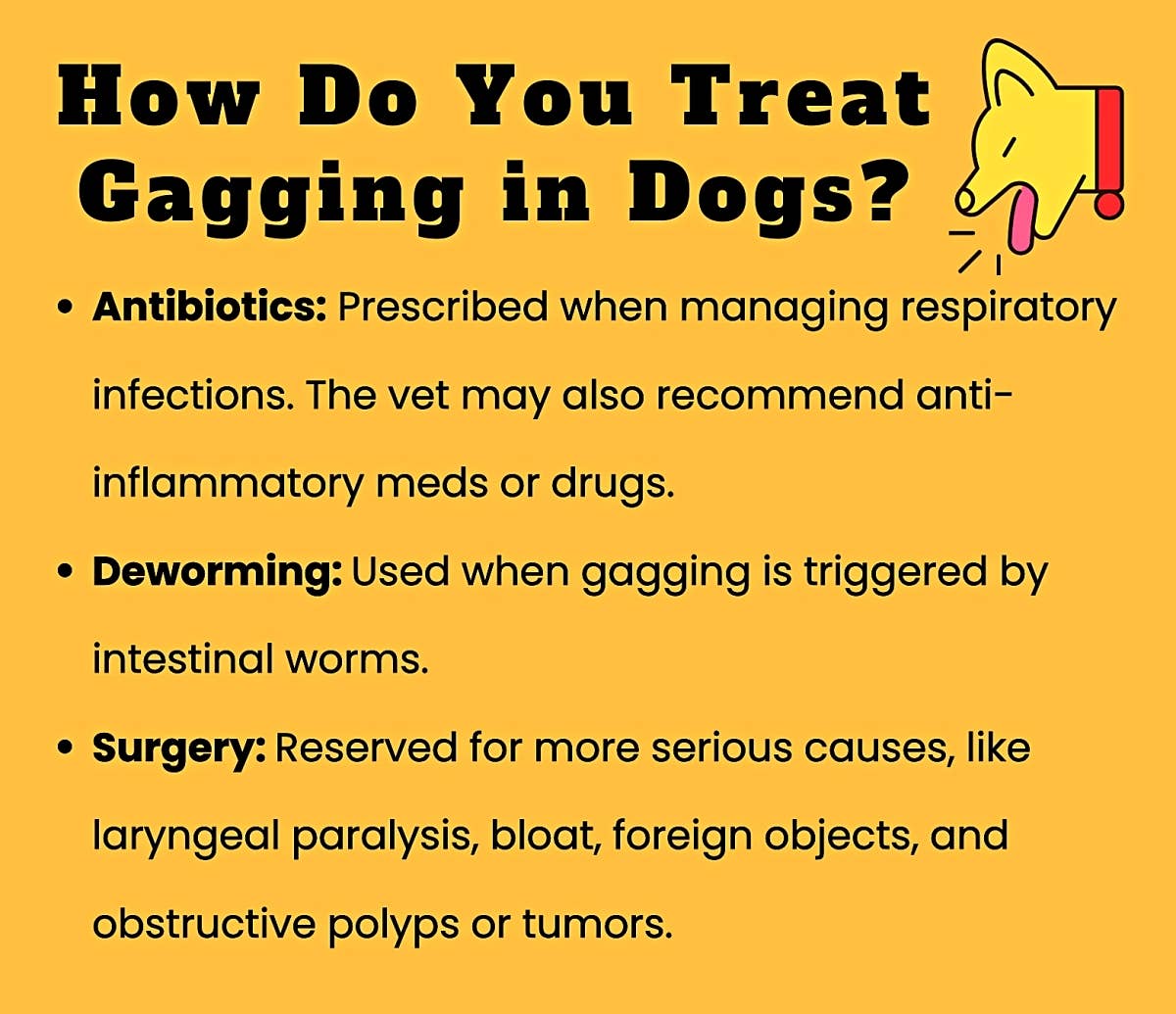 Photo inspiration: Visual Reference: Why Is My Dog Coughing And Gagging 13 Common Causes