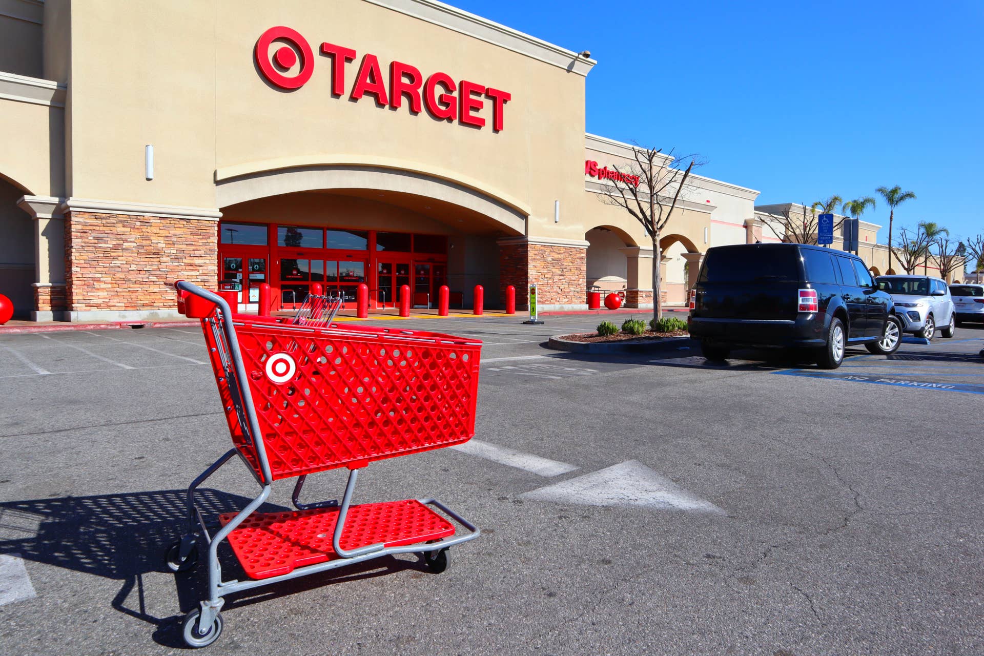 Heavy-Duty Outdoor Dog Kennel at Target - PetHelpful