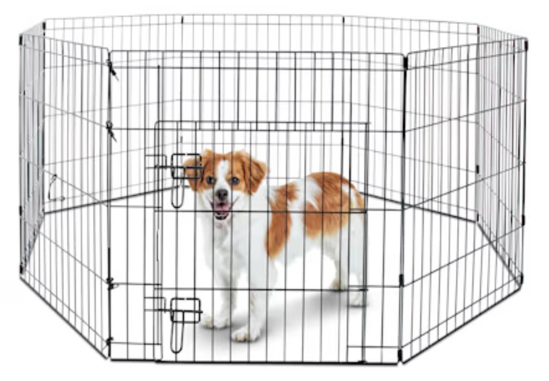 Petco’s $39 Dog Exercise Pen Is the Foldable Space Saver Every Pet ...