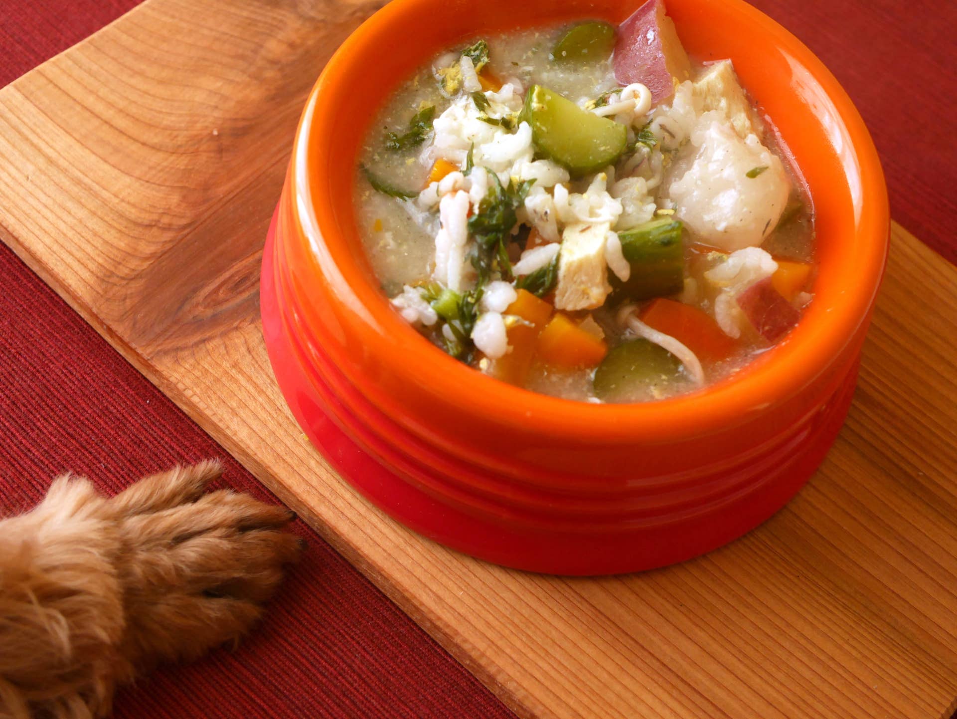Cockapoo Stew Chicken & Sweet Potato Stew for Dogs Is a Hit - PetHelpful