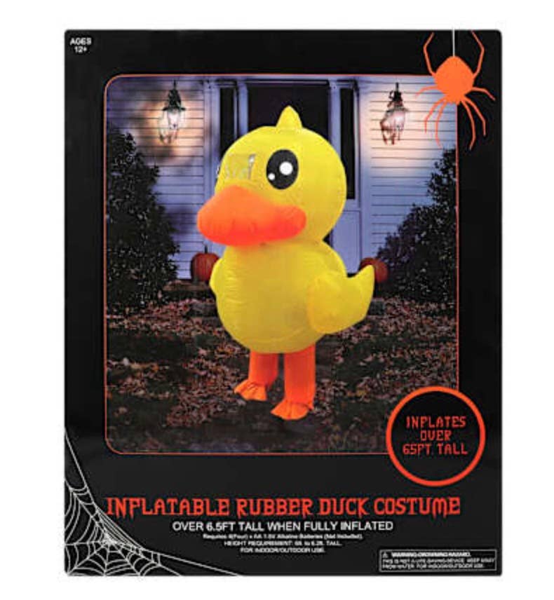 Five Below’s Inflatable Duck Costume Is the Hit of Halloween - PetHelpful