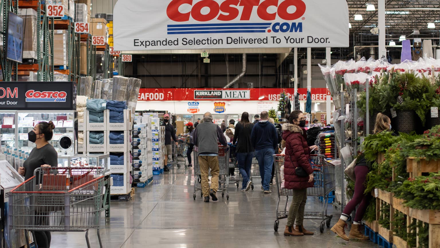 Costco’s Foldable Pet Stroller Lets Your Fur Baby Ride in Style ...