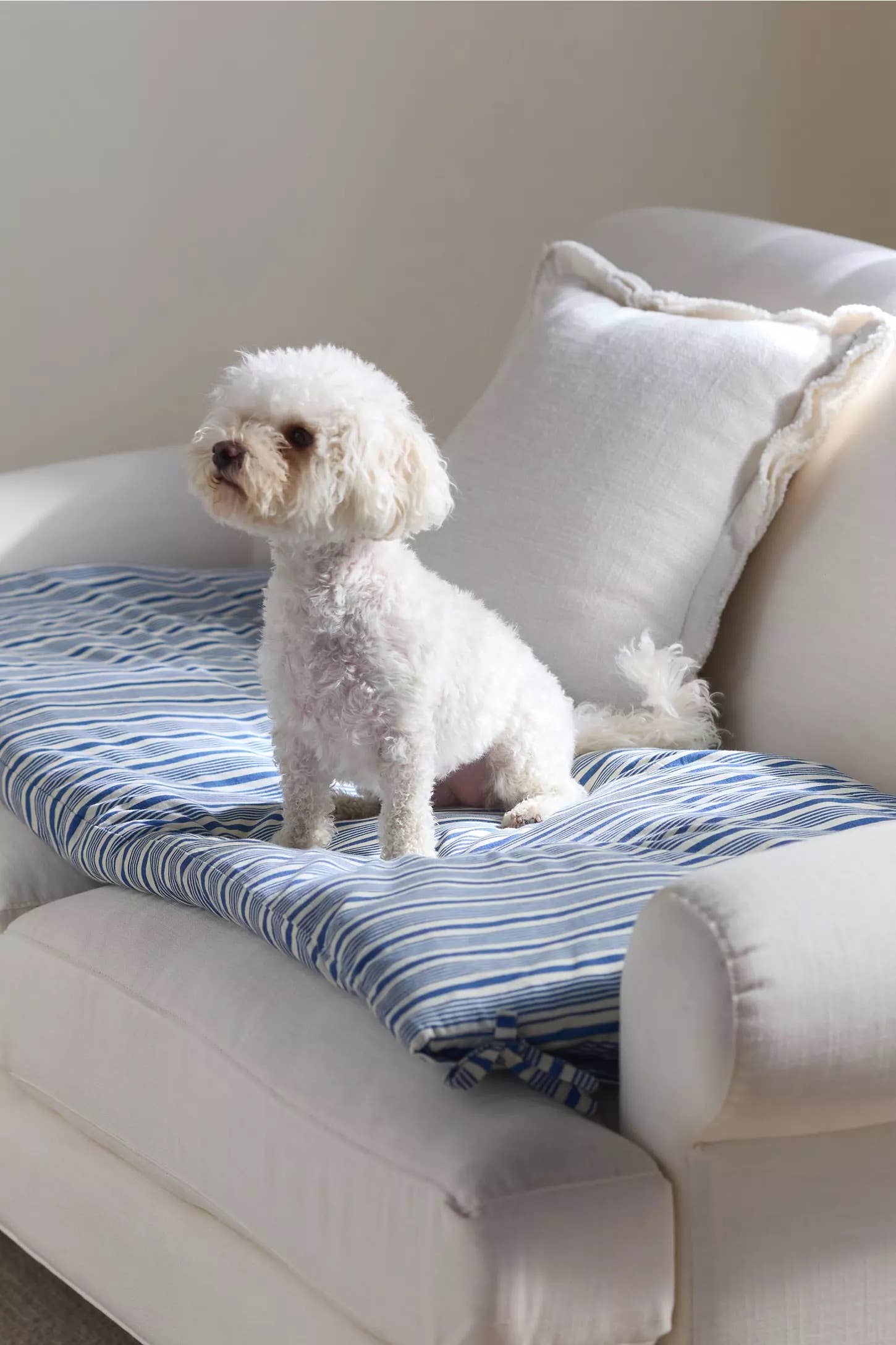 Anthropologie Sofa Topper