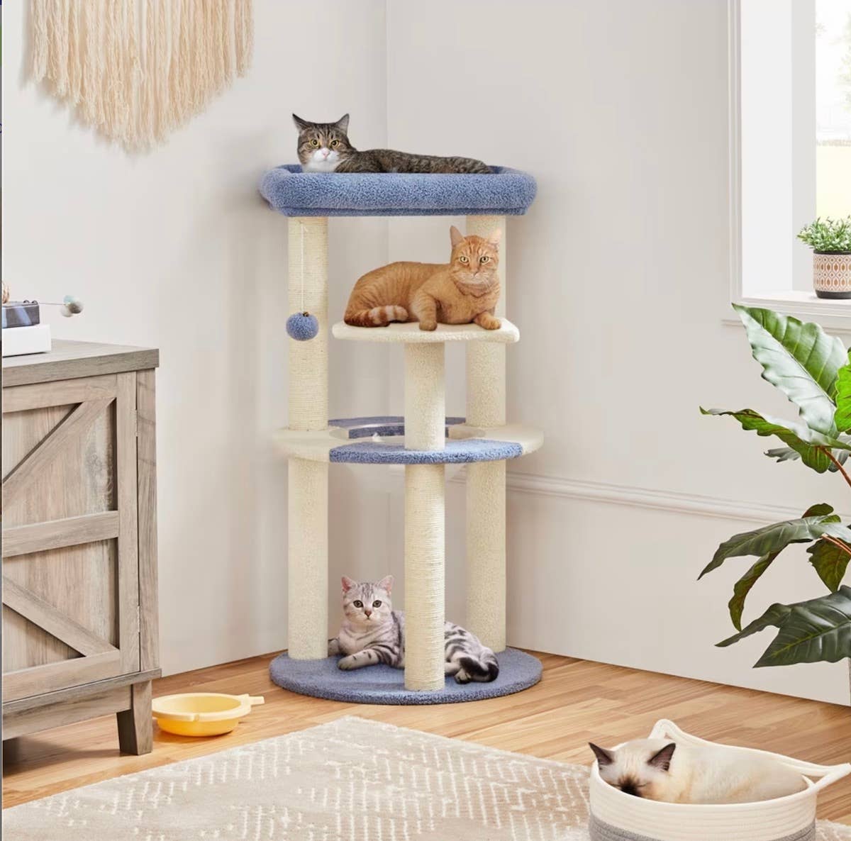 Chewy Is Selling a Corner Cat Tree in Lovely Spring Shades - PetHelpful