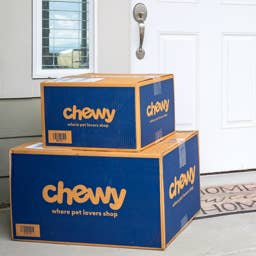 Chewy's Pretty Paw-Print Storage Bins Are Under $20 and Shoppers Love the Colors