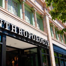 Anthropologie's Adorable Cat Notepad Is the Perfect Gift for Kitty Lovers