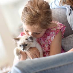 The Best Cat Breeds for Young Kids