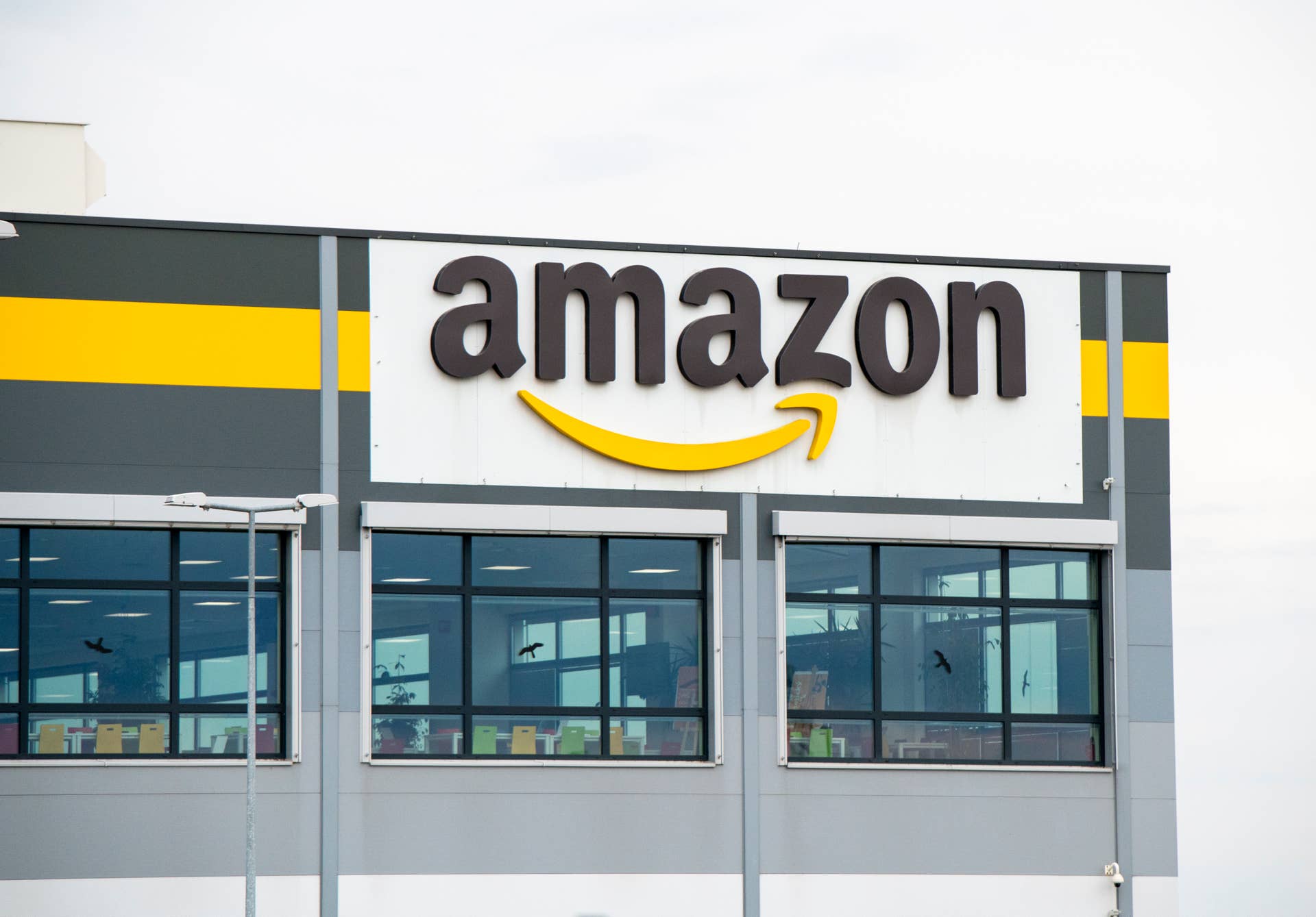 Amazon's 'Human-Sized' Dog Bed Is So Big You Can Cuddle Your Pups In It — and It's on Sale