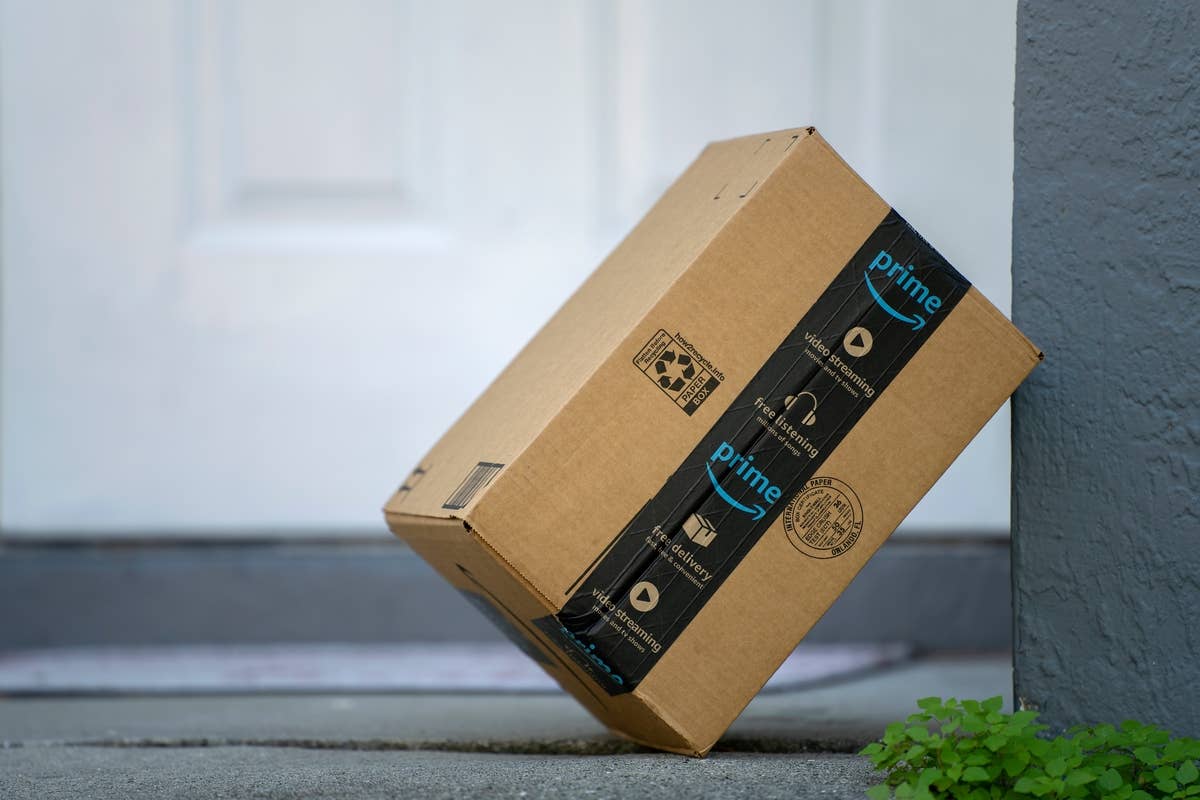 Amazon’s $25 Climbing Rope Adds a Fun Vertical Space for Active Cats ...
