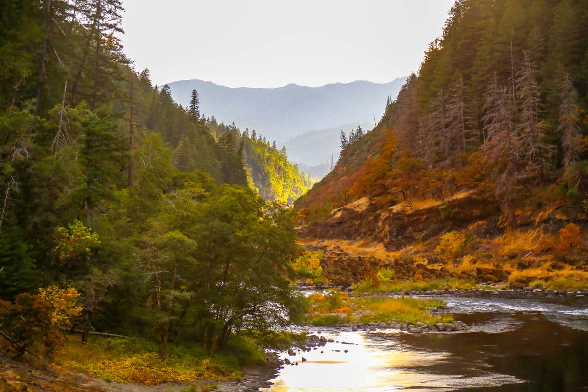 Springfield Oregon Rivers 7 Oregon Rivers and Lakes With Active Snake Populations - PetHelpful