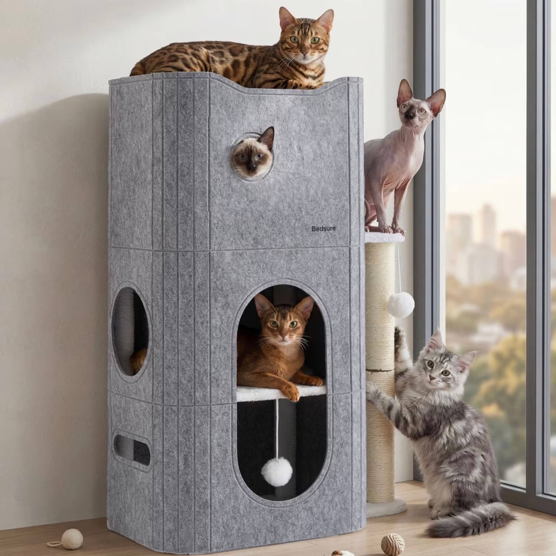 timed cat feeder wet food Smart Feeder  BistroCat