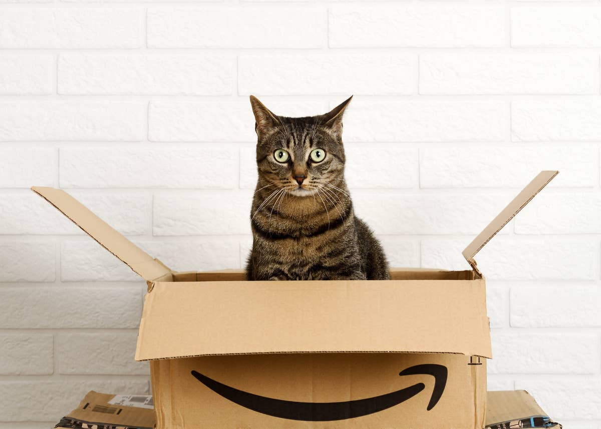Amazon's Floating Cat Hammock Is the Ultimate Summer Nap Spot