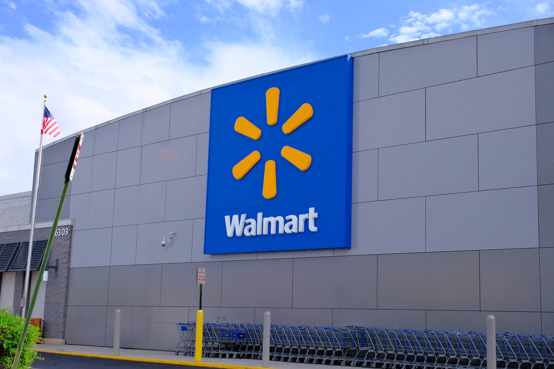 Walmart's Sleek $16 Diamond-Patterned Cat Bed Is So Cool - PetHelpful