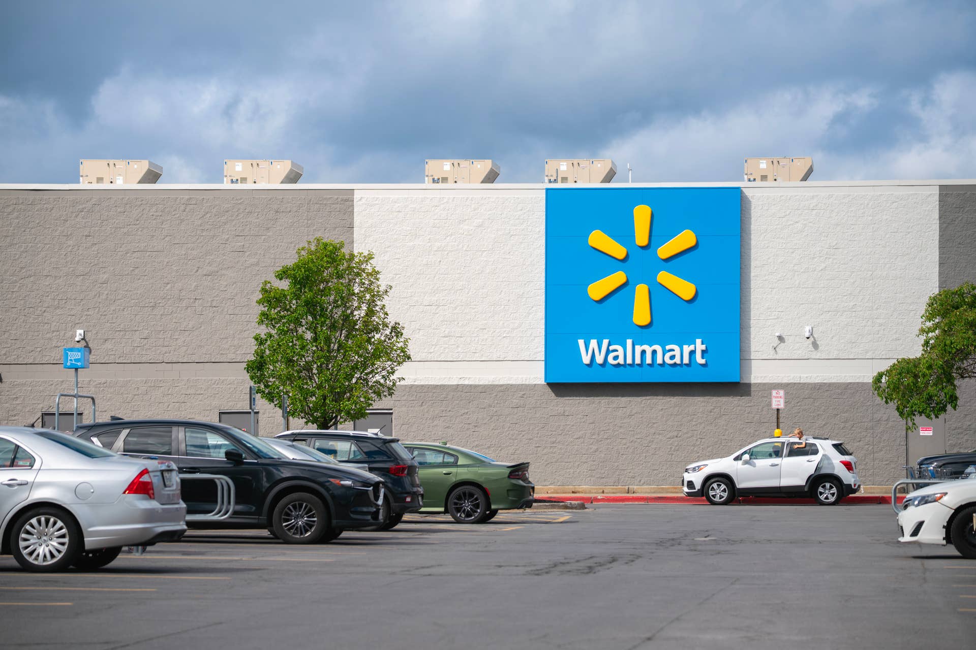 Walmart’s Robotic Cat Litter Box Is $190 Off and Does the Work for You ...