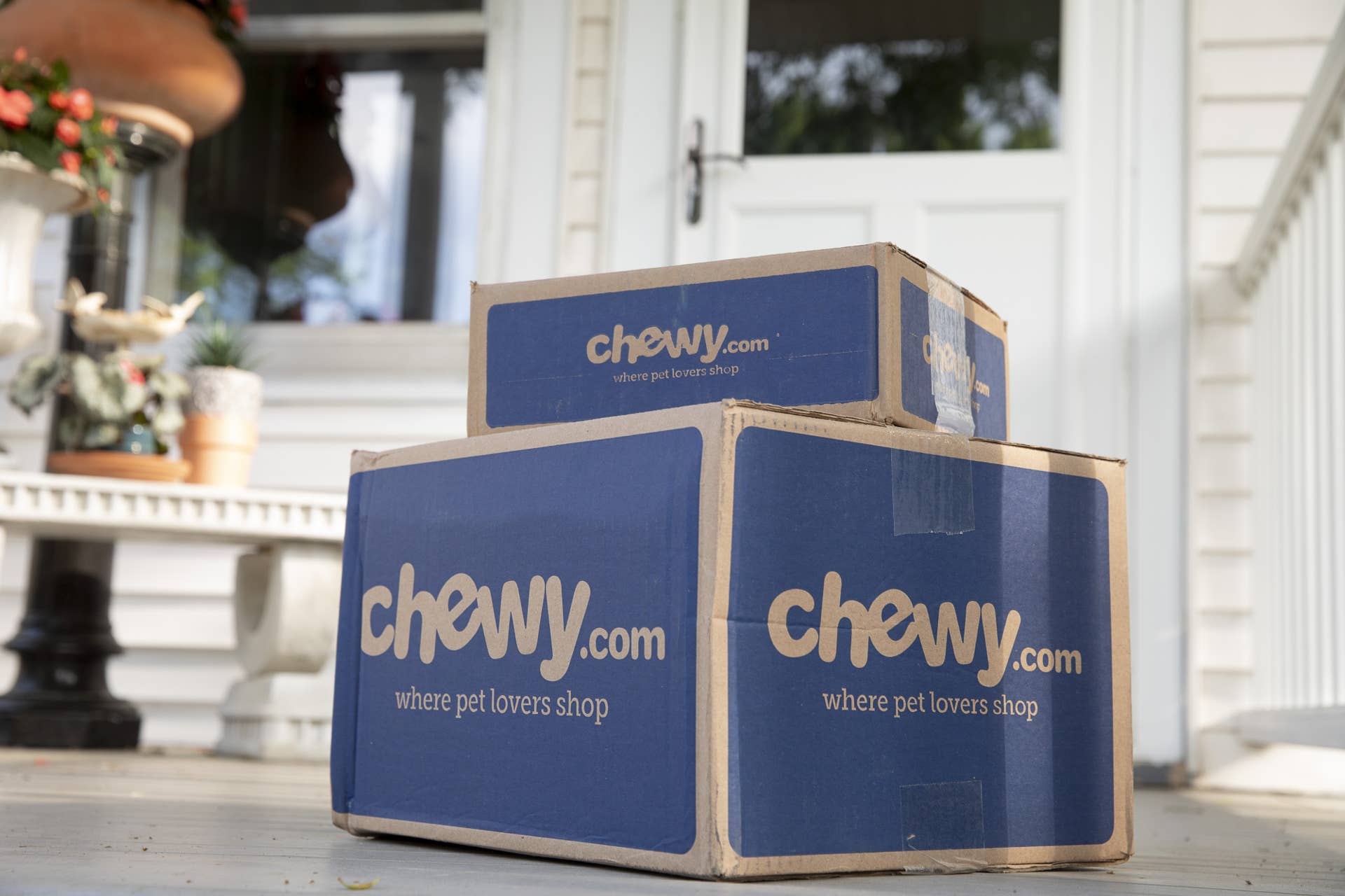 Chewy’s Outdoor Cat House Looks Like a 4-Story Kitty Villa - PetHelpful