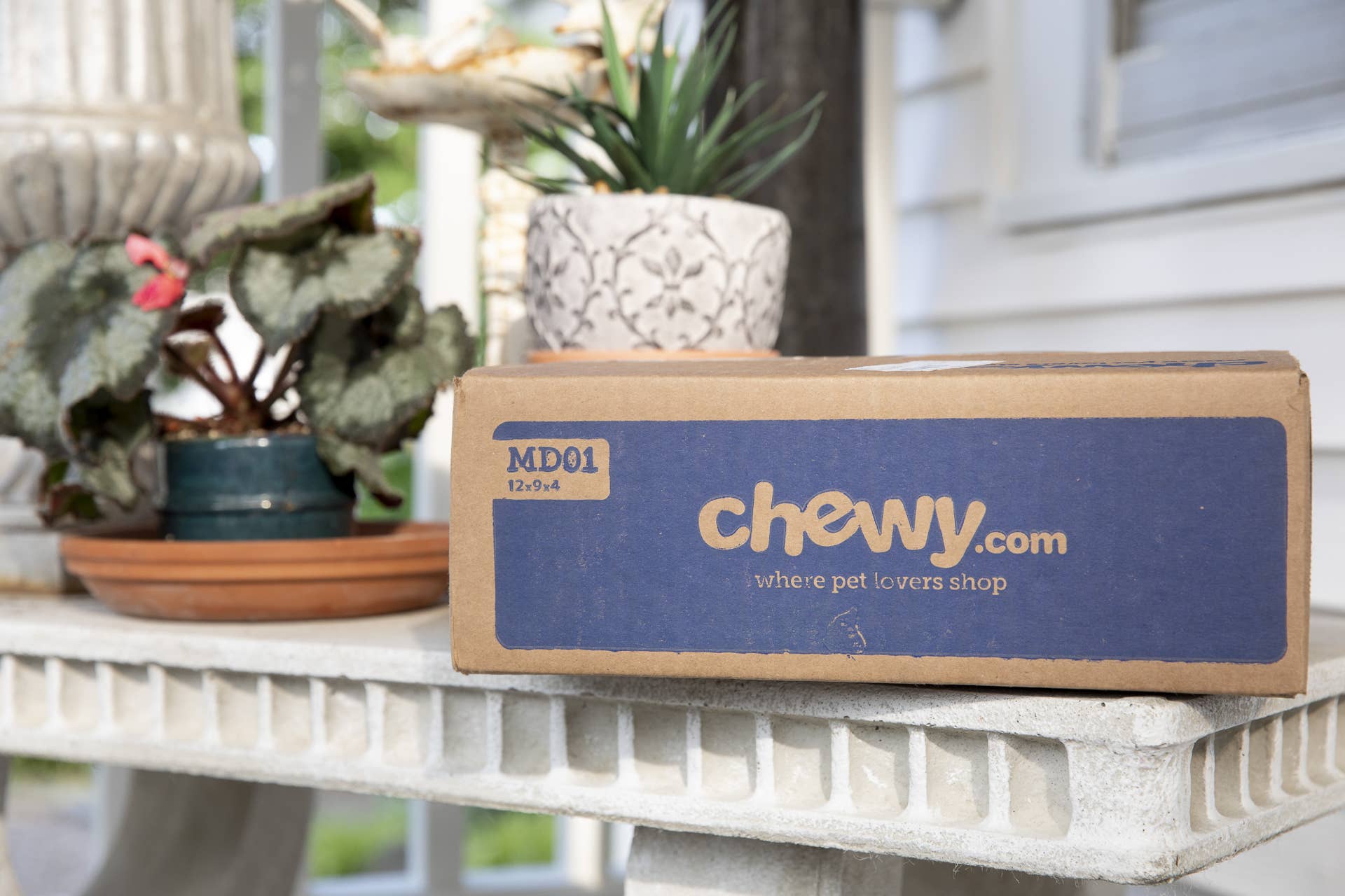 Chewy’s Cat-Shaped Shelves Turn an Empty Wall Into a Playground ...