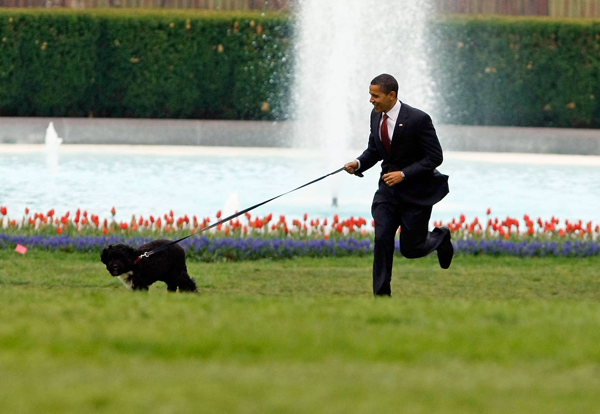 Obama Family Mourns Beloved White House Dog Sunny After 13 Years