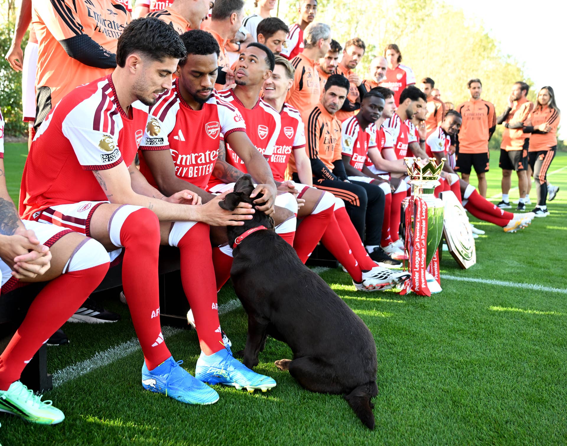 Arsenal’s Therapy Dog, Win, Joins Official Team Photo - PetHelpful