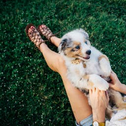 Are You Ready for a Pup? The 6 Questions Experts Say You Must Ask First