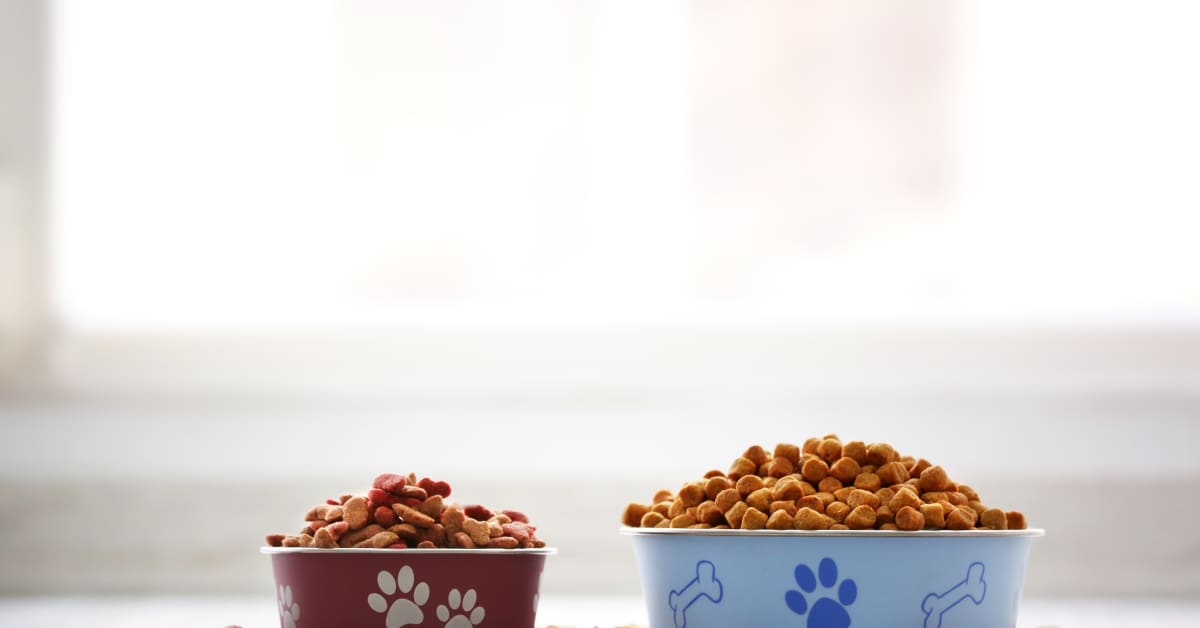 Pet Food Expert Issues Warning About Dark Secret Hiding in Common Pet