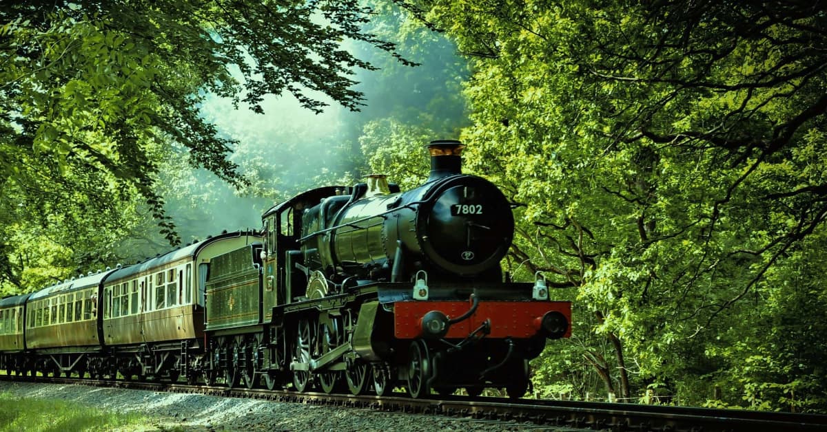 DogFriendly Train Through the Redwoods Is Beyond Magical PetHelpful News