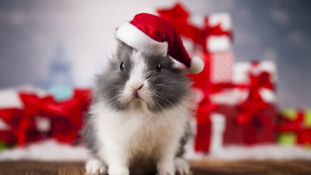 bunny-christmas-tree