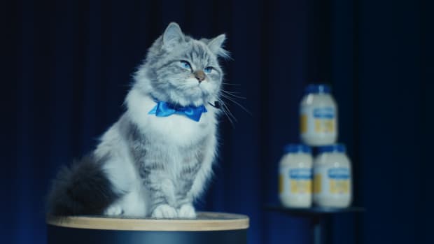 super bowl commercial cat mayo